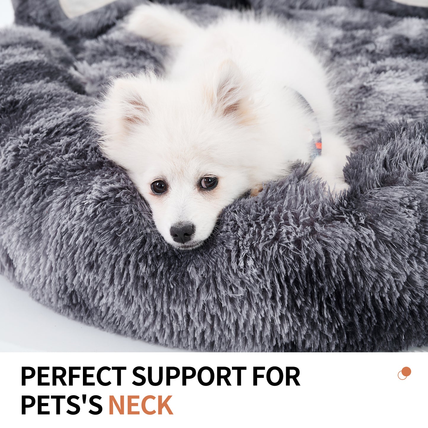 Bear Paw Pet Bed – Cozy, Cute & Plush Comfort
