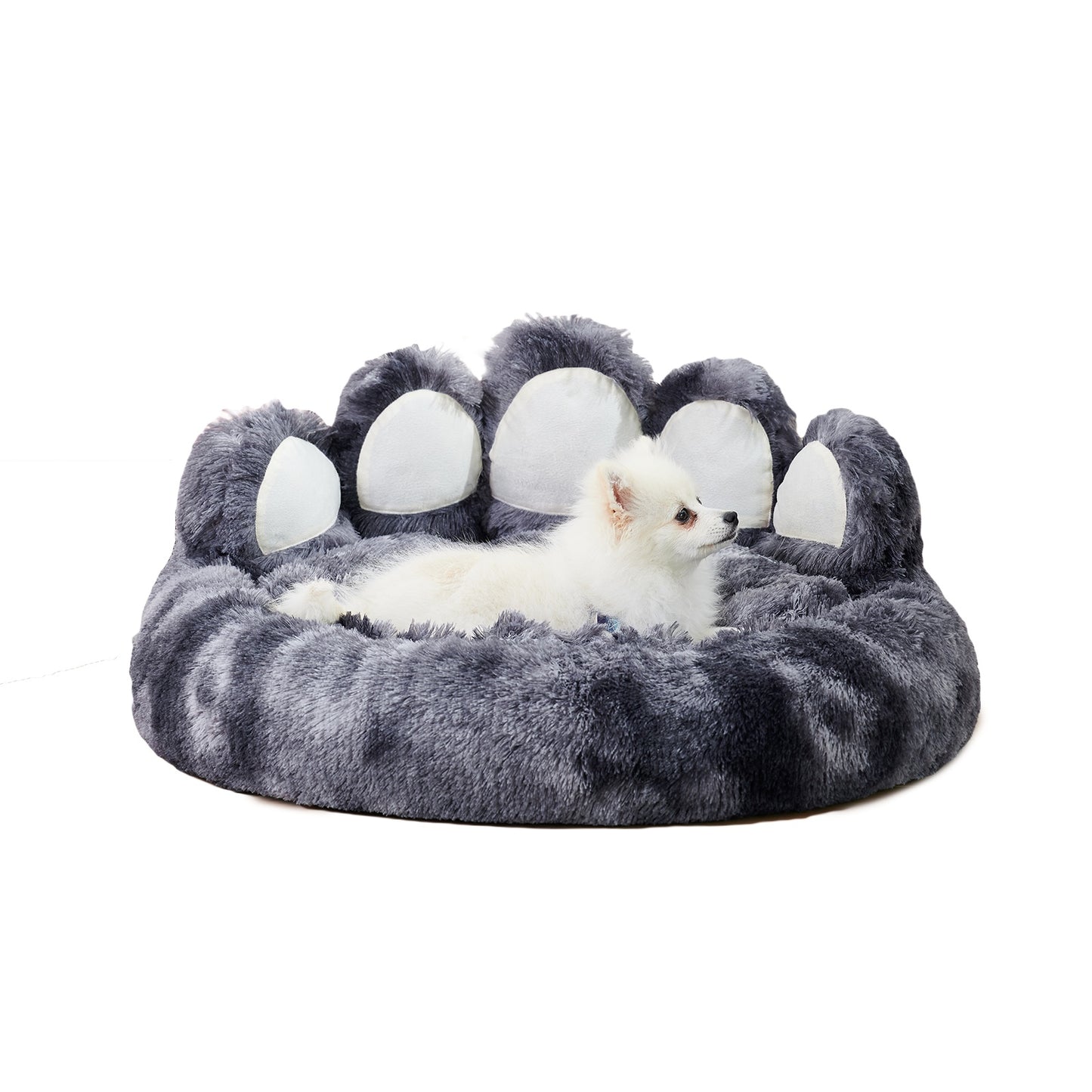 Bear Paw Pet Bed – Cozy, Cute & Plush Comfort