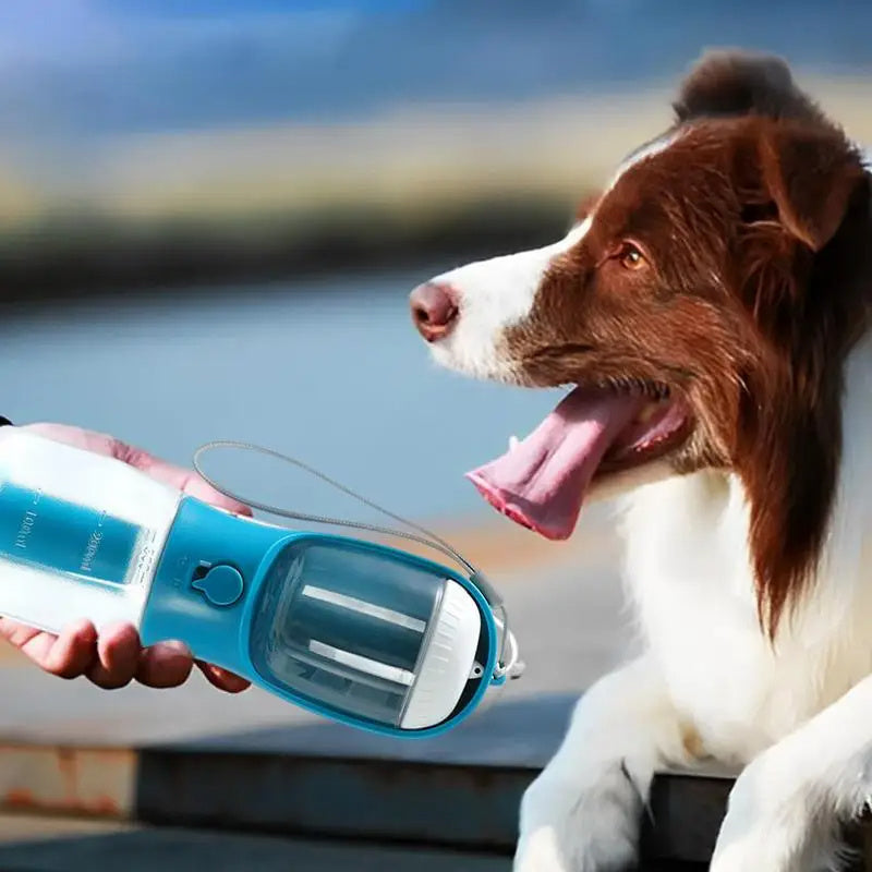 3-in-1 Pet Bottle – Water, Food & Waste Bags