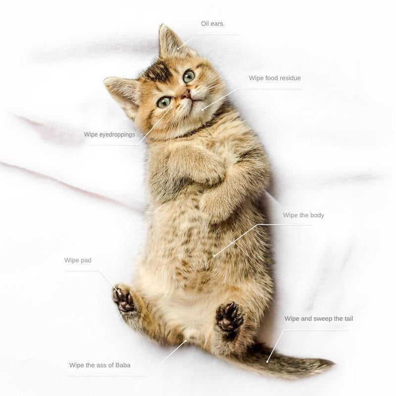 All-in-One Pet Bath Wipes – Clean & Moisturize