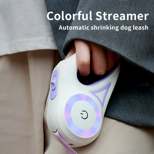 Pet Leash with Built-In Light for Safety
